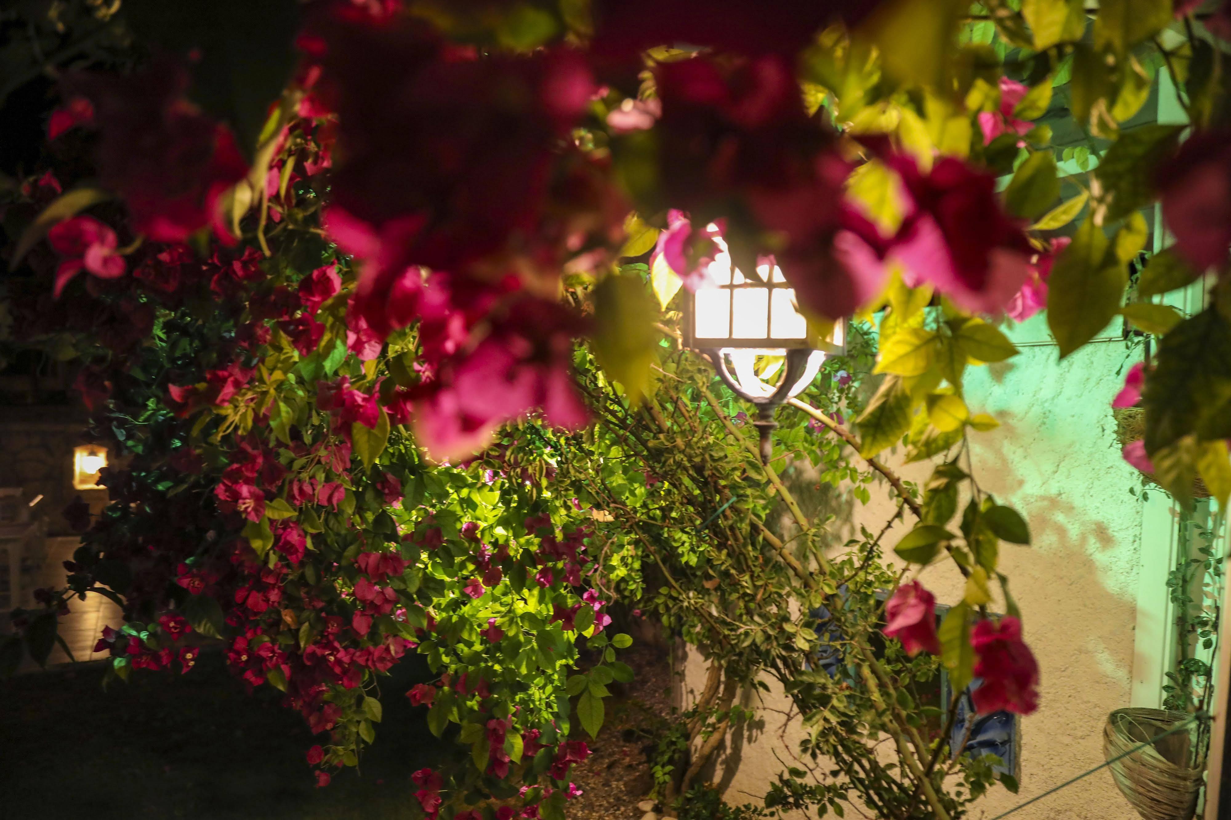Sari Gelin Alacati Hotel ภายนอก รูปภาพ